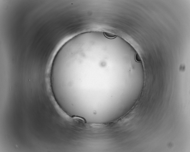 X0000102361152200808151807