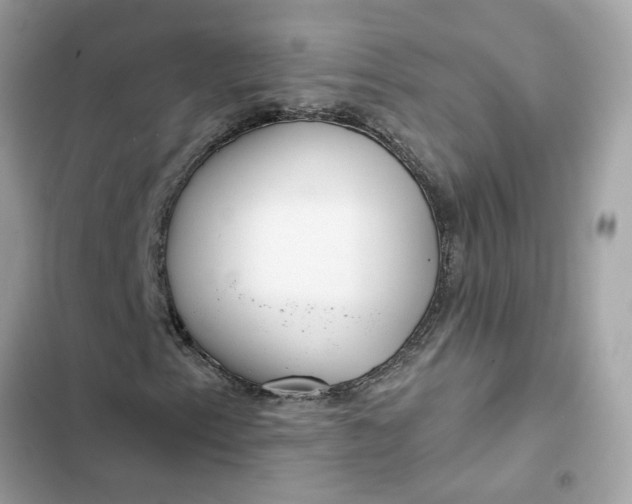 X0000102361153200808151807