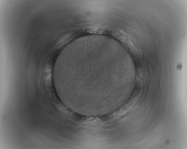 X0000102361154200808151807