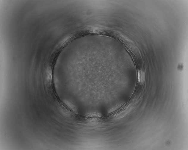 X0000102361155200808151807