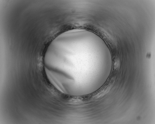 X0000102361156200808151807