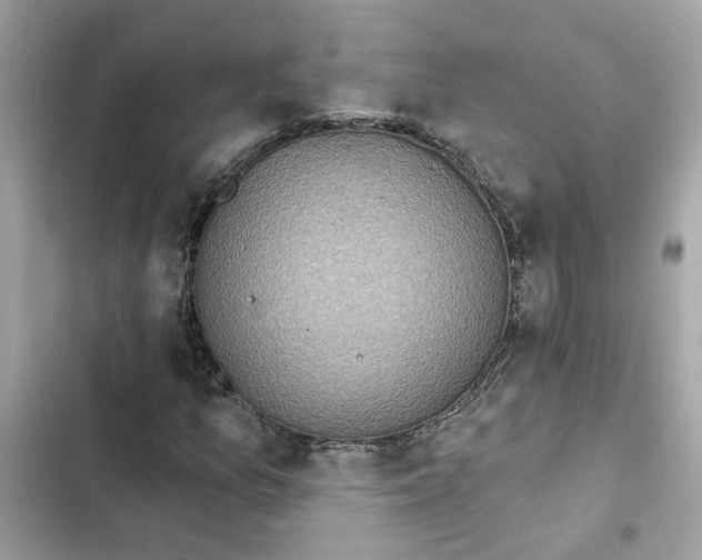 X0000102361157200808151807