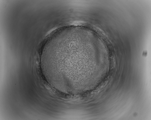 X0000102361158200808151807