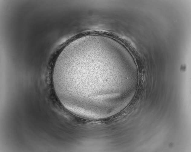 X0000102361159200808151806