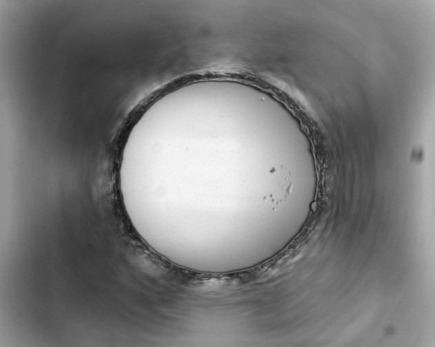 X0000102361160200808151806