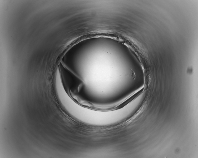 X0000102361161200808151806