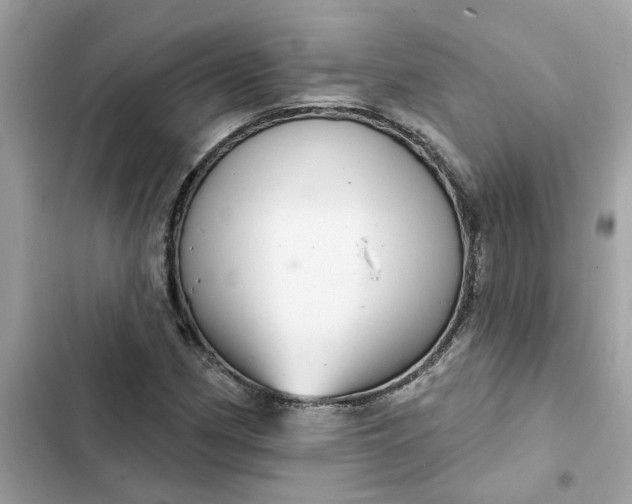 X0000102361162200808151806