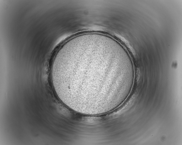 X0000102361163200808151806