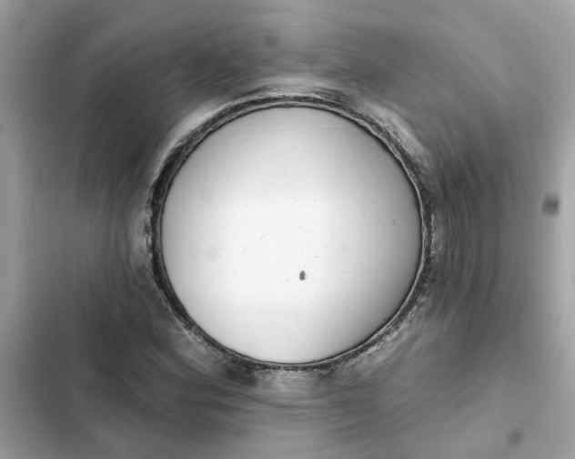 X0000102361164200808151806