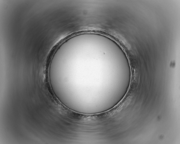 X0000102361165200808151806