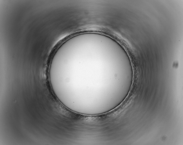 X0000102361166200808151806