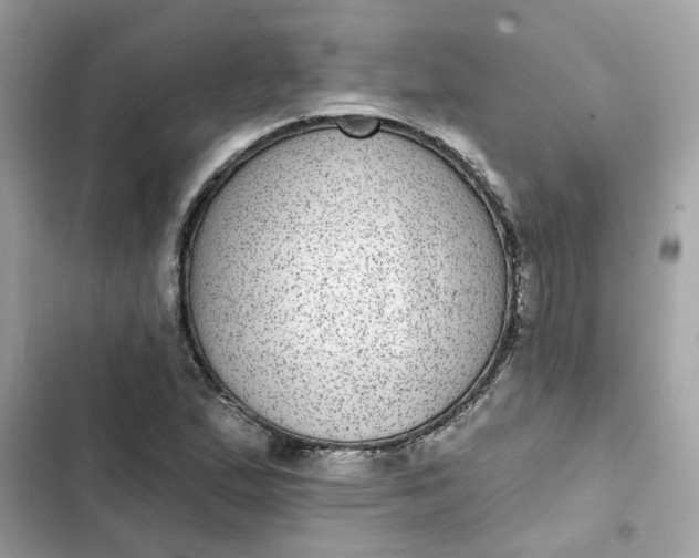 X0000102361167200808151806