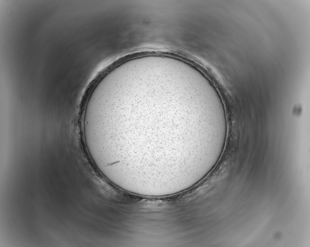 X0000102361168200808151806