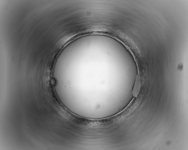 X0000102361169200808151806