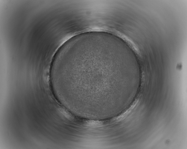 X0000102361170200808151806