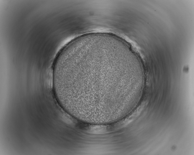 X0000102361171200808151806