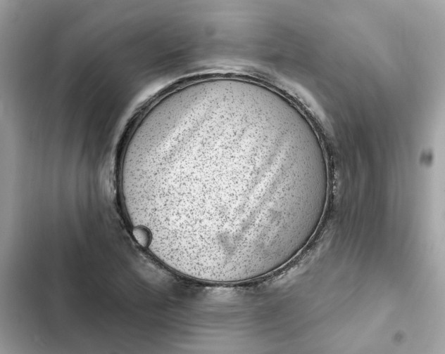 X0000102361172200808151806