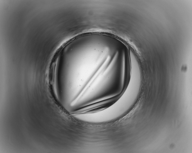 X0000102361173200808151806