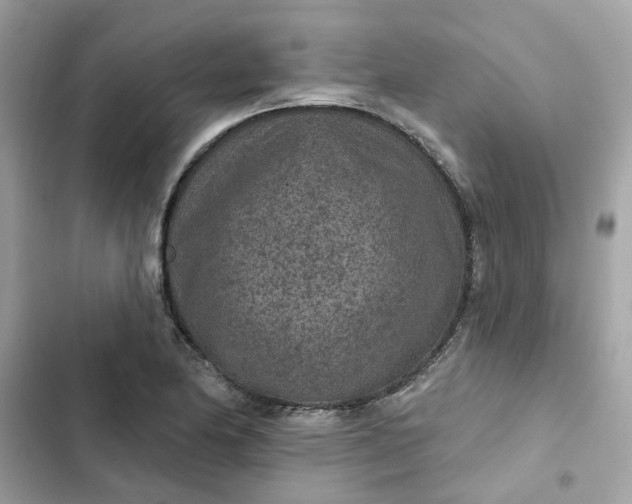 X0000102361174200808151806