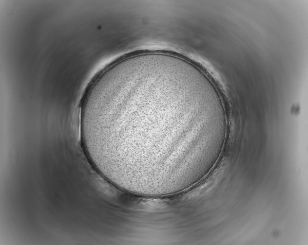 X0000102361175200808151806