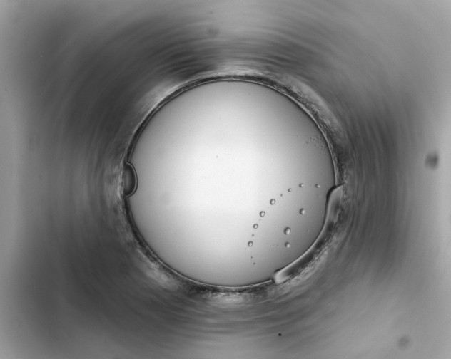 X0000102361177200808151806