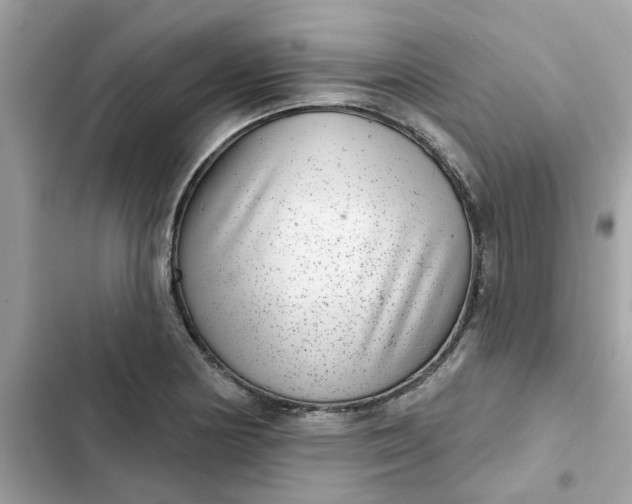 X0000102361178200808151806