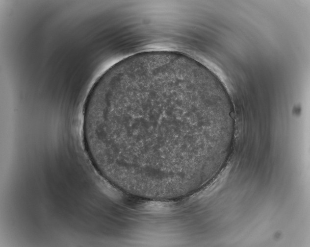 X0000102361179200808151806