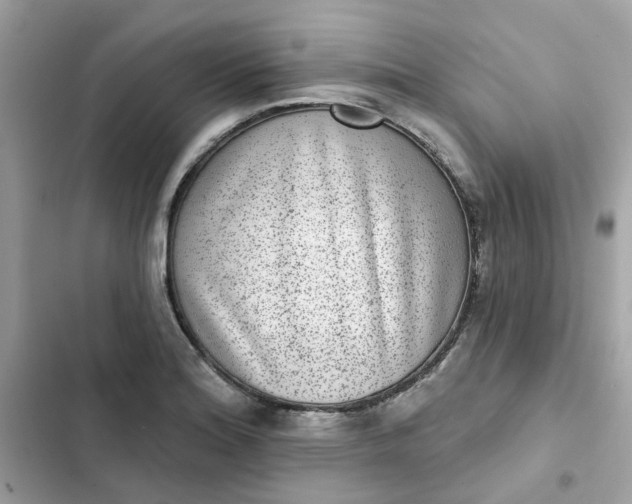 X0000102361180200808151806