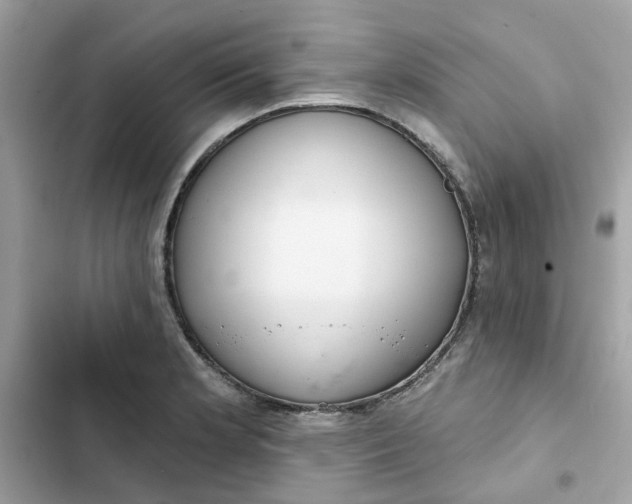 X0000102361181200808151806