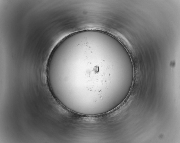 X0000102361182200808151806