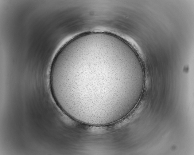 X0000102361183200808151806