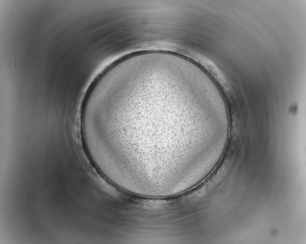 X0000102361184200808151806