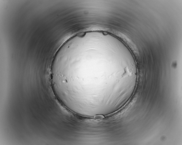 X0000102361185200808151806