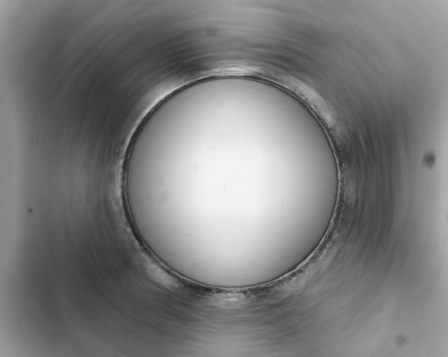 X0000102361186200808151806