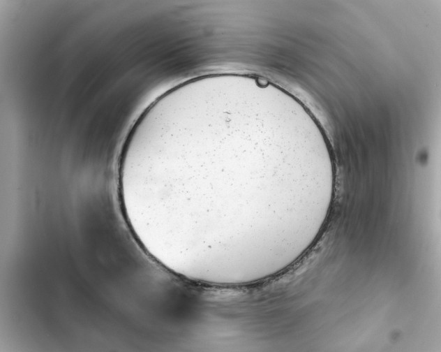 X0000102361187200808151806