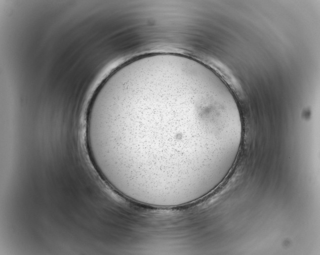 X0000102361188200808151806