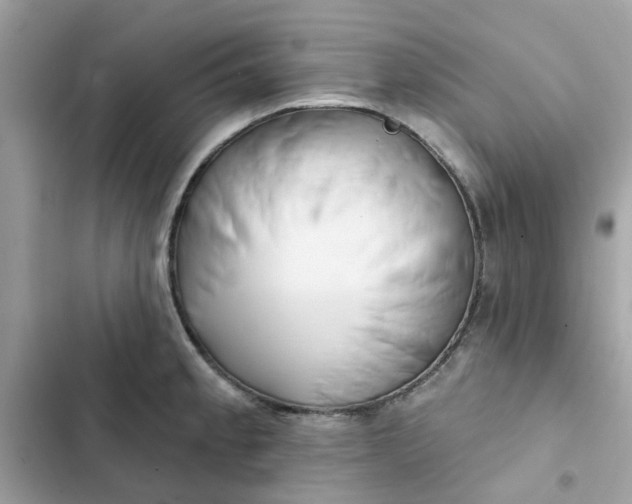 X0000102361189200808151806