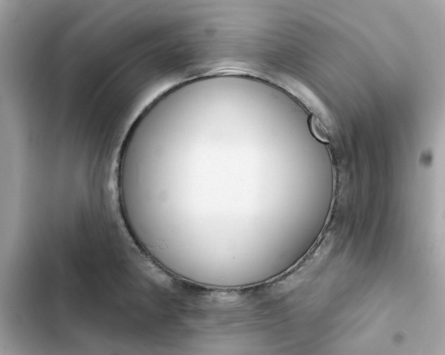 X0000102361190200808151806