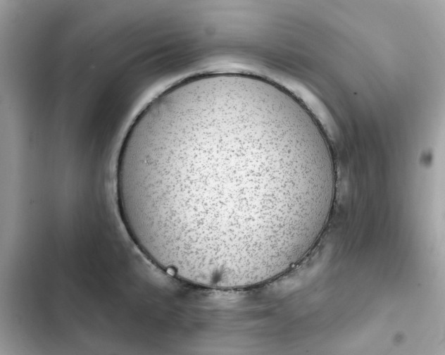 X0000102361191200808151806