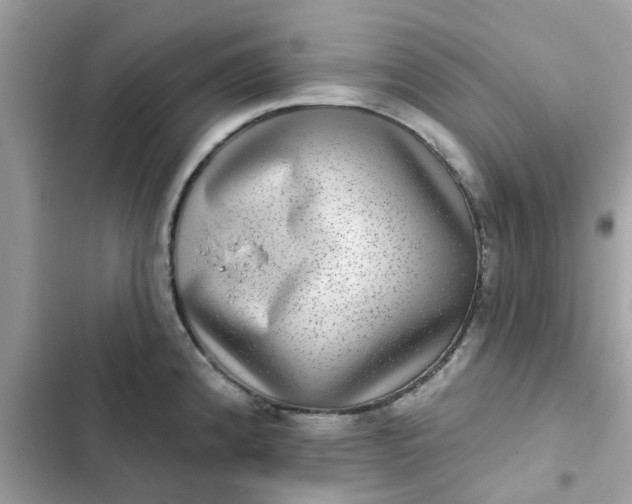 X0000102361192200808151806