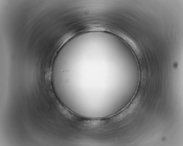 X0000102361193200808151806