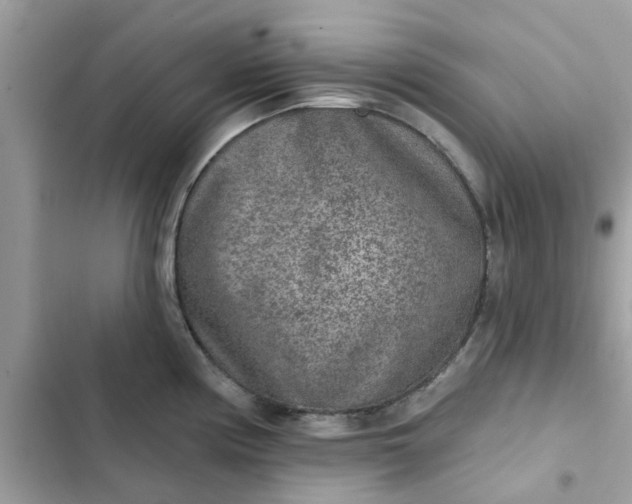 X0000102361194200808151806