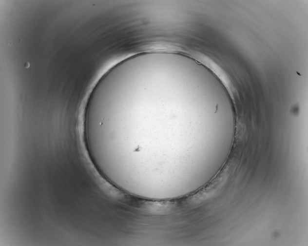 X0000102361195200808151806