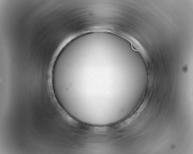 X0000102361196200808151806