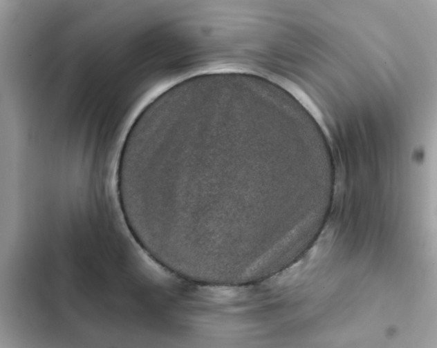 X0000102361197200808151806