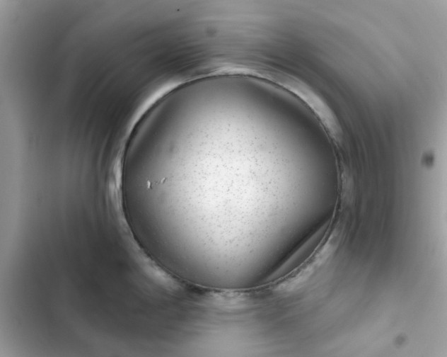 X0000102361198200808151806