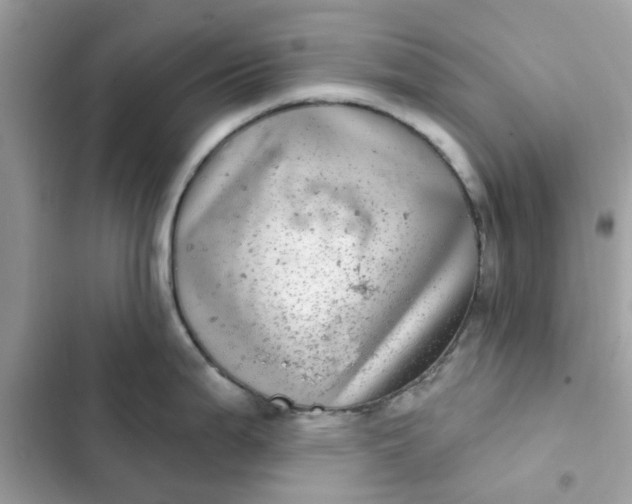 X0000102361199200808151806