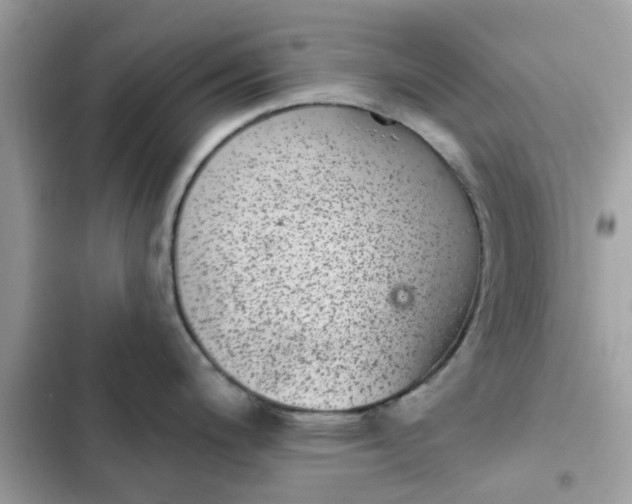 X0000102361200200808151806