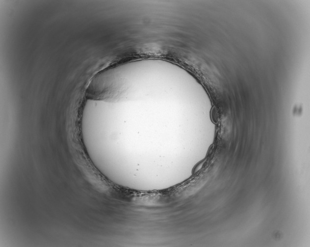 X0000102361201200808151805