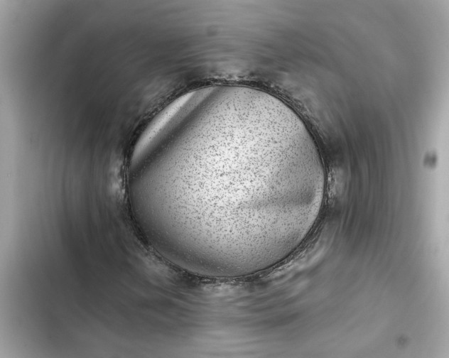 X0000102361202200808151805